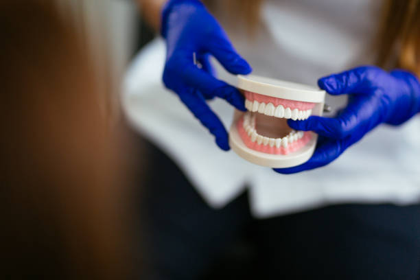 Butner, NC Dental Services Pros